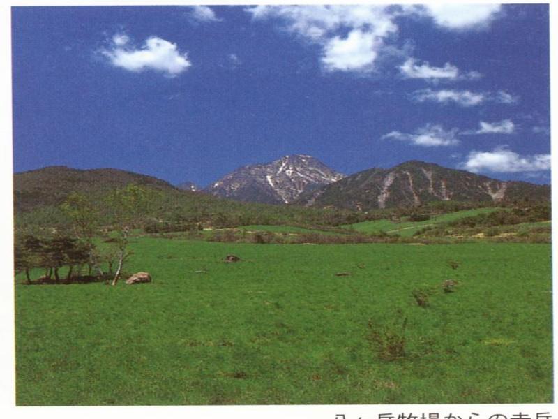 Kiyosato Pension Izumi Hokuto (Yamanashi) Exterior foto